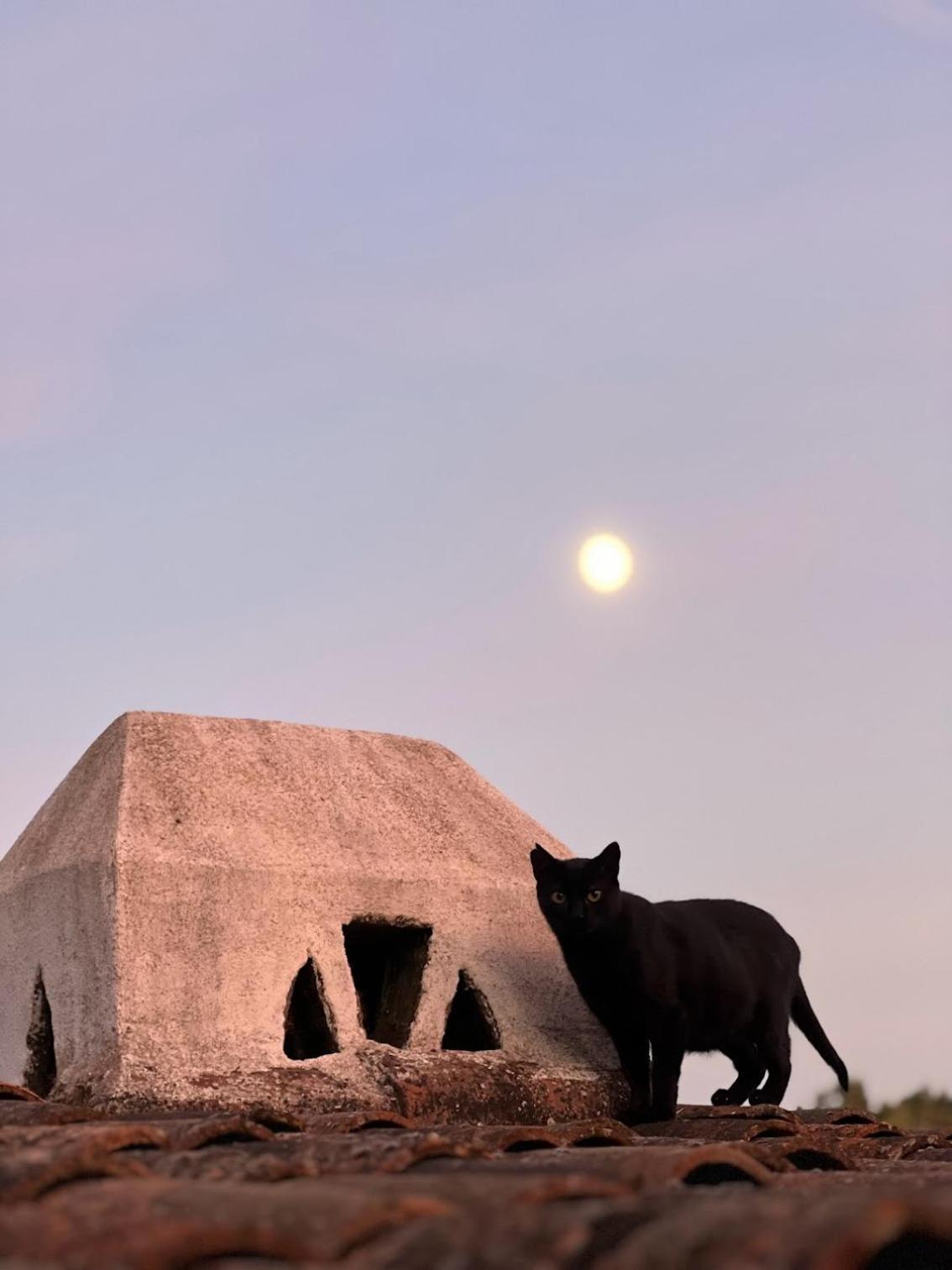 Villa Casa Dos Galegos Marvão Esterno foto